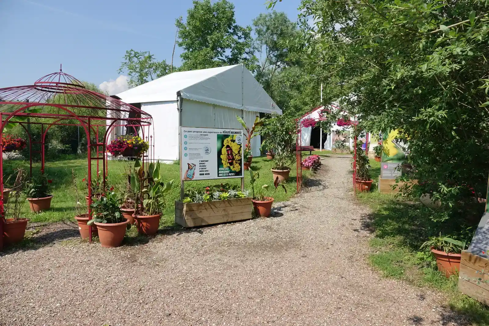 Create the Right Growing Conditions (Image Credits: Wikimedia)