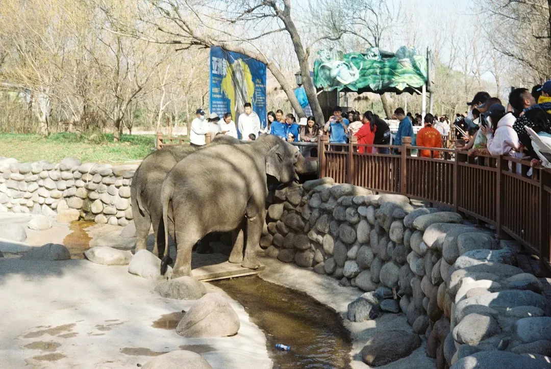 Special Provisions for Zoos and Wildlife Parks (Image Credits: Unsplash)