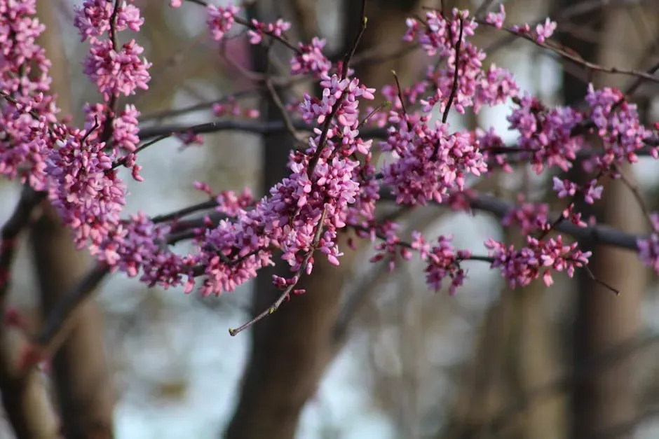 #2: Eastern Redbud (Cercis canadensis) (Image Credits: Pexels)
