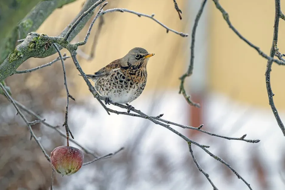 6. Puaiohi - The Small Kauaʻi Thrush (Image Credits: Pexels)