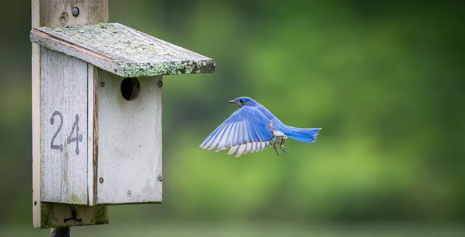 #6: They Almost Vanished Entirely in the 20th Century (Image Credits: Pexels)
