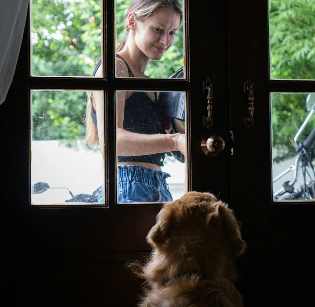 #1 - They Greet You Like You're a Return, Not a Rescue (Image Credits: Unsplash)