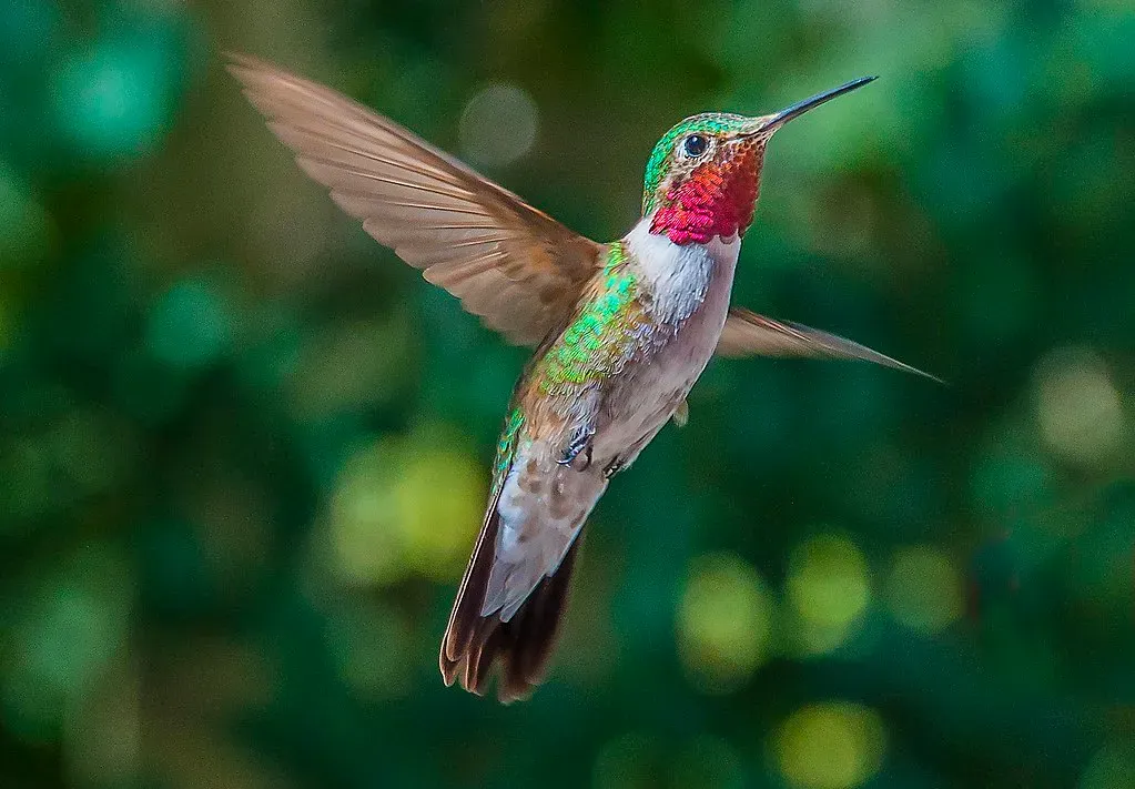The Natural Journey Upward (Image Credits: Flickr)