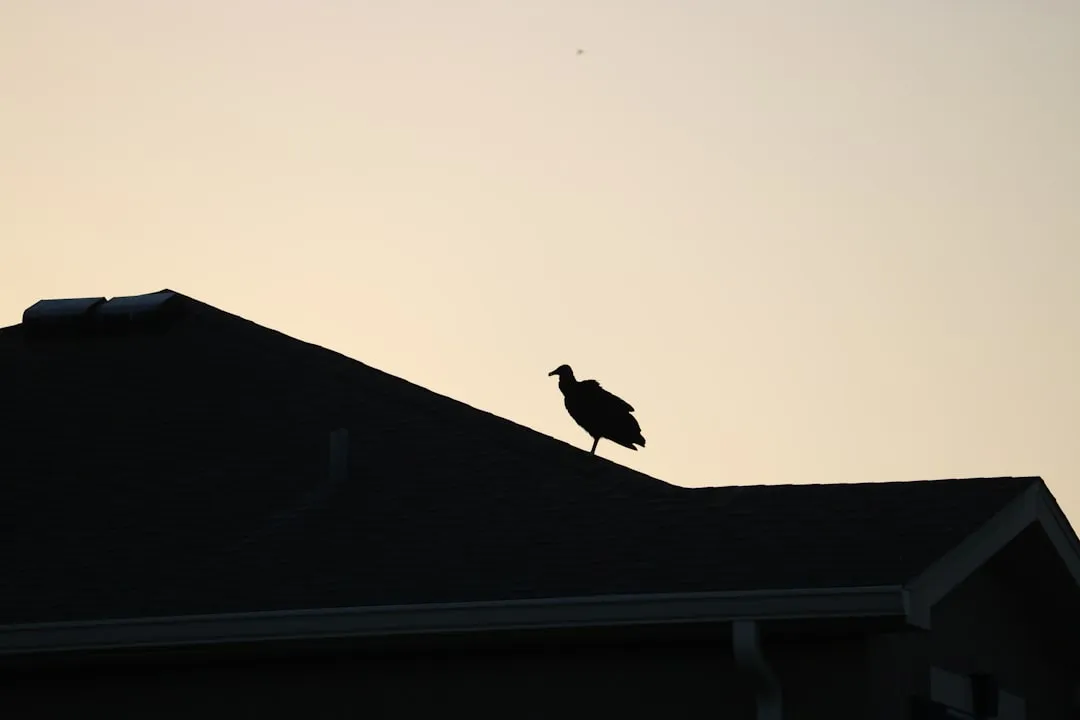 #7 Folklore casts a longer shadow than the science does (Image Credits: Unsplash)