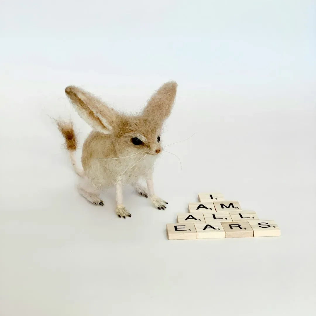 8. Jerboa: The Desert's Kangaroo Mouse That Never Drinks (Image Credits: Unsplash)