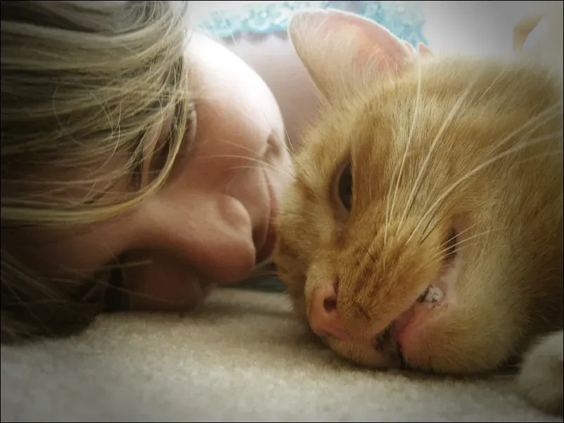 Social Factors and Life Circumstances That Deepen Pet Bonds (Image Credits: Flickr)