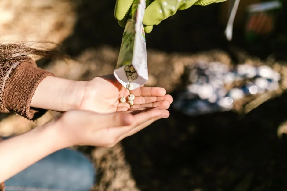 #5 - &ldquo;I Trusted the Cute Seed Packet Over My Own Climate&rdquo; (Image Credits: Pexels)