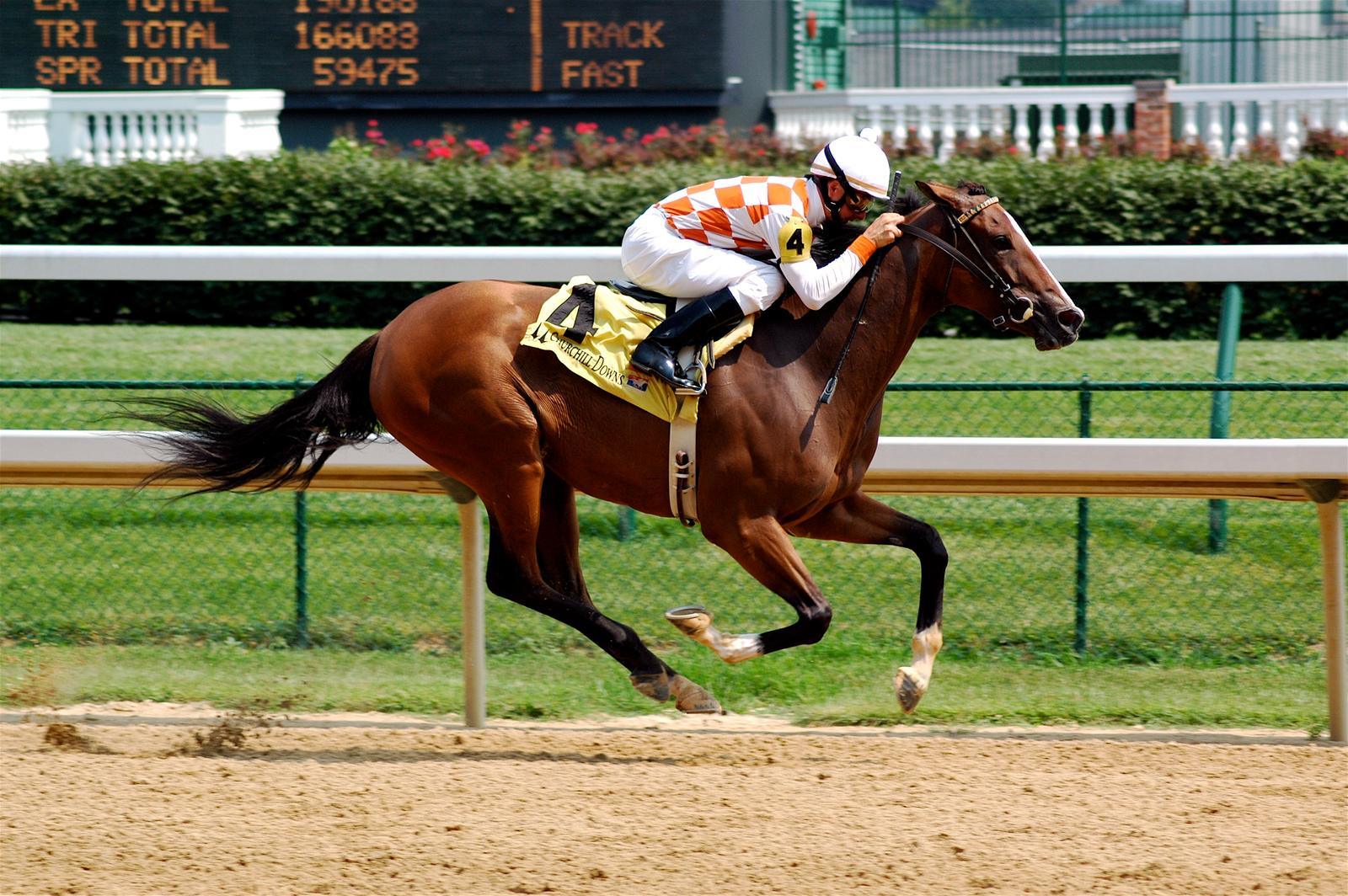 Gemini: The Thoroughbred (Image Credits: Wikimedia)