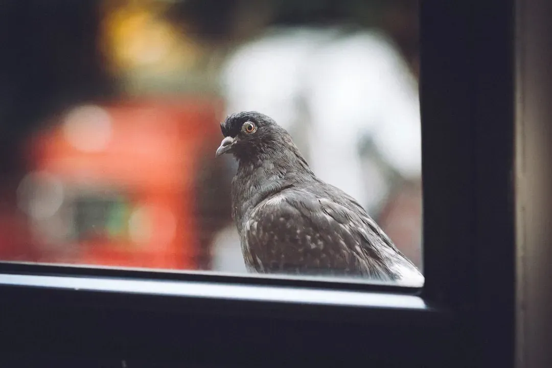 The Hidden Threats We Don't Think About (Image Credits: Unsplash)