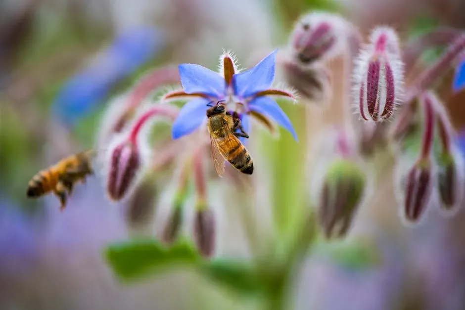 Borage: The Rapid-Fire Refueling Station (Image Credits: Pexels)
