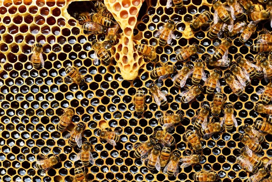 What Happens to Our Food if Bees Disappear? (Image Credits: Pexels)