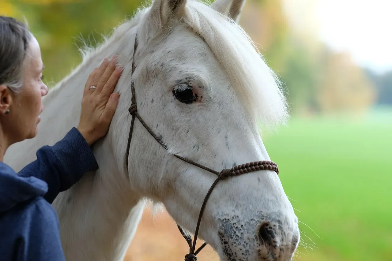Firm And Rhythmic Works Better Than Light And Ticklish (Image Credits: Pixabay)