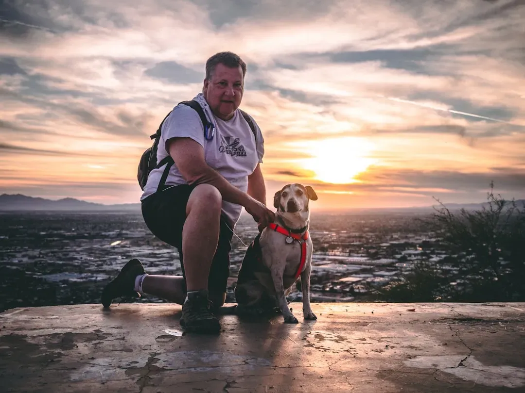 Arizona: Desert Dogs Finding Forever Homes (Image Credits: Unsplash)