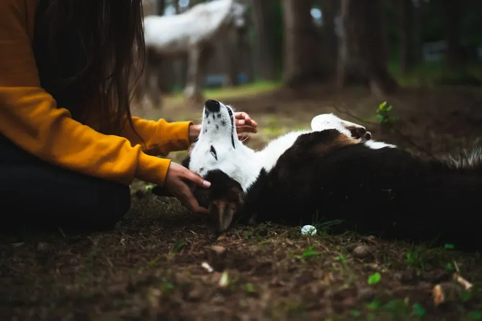 #2. The Science of Bidirectional Healing: When Both Sides Recover Together (Image Credits: Pexels)