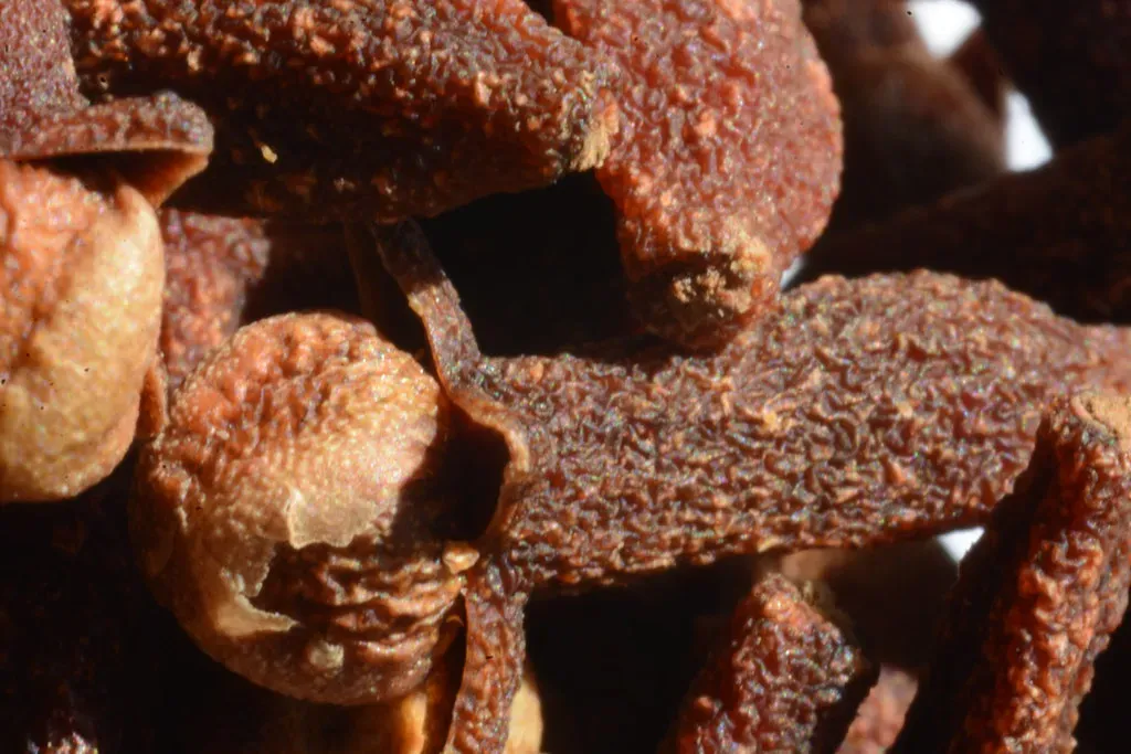 Clove Oil (generalising, Flickr, CC BY-SA 2.0)