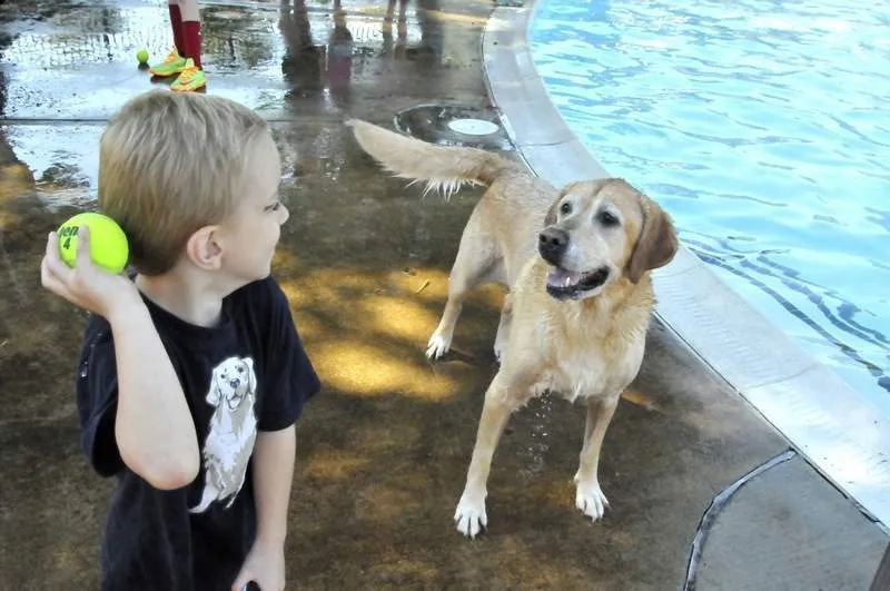 #1 - Sudden "Velcro Dog" Behavior (By Brian Parker, Public domain)