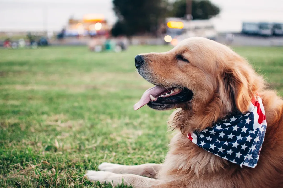 #3 - They Rally on “Important” Days, Then Crash Hard Afterward (Image Credits: Unsplash)