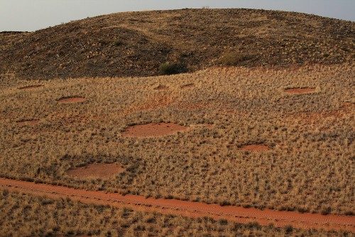 Fairy Circles of the Namib Desert: Nature's Perfect Geometry (Image Credits: Flickr)