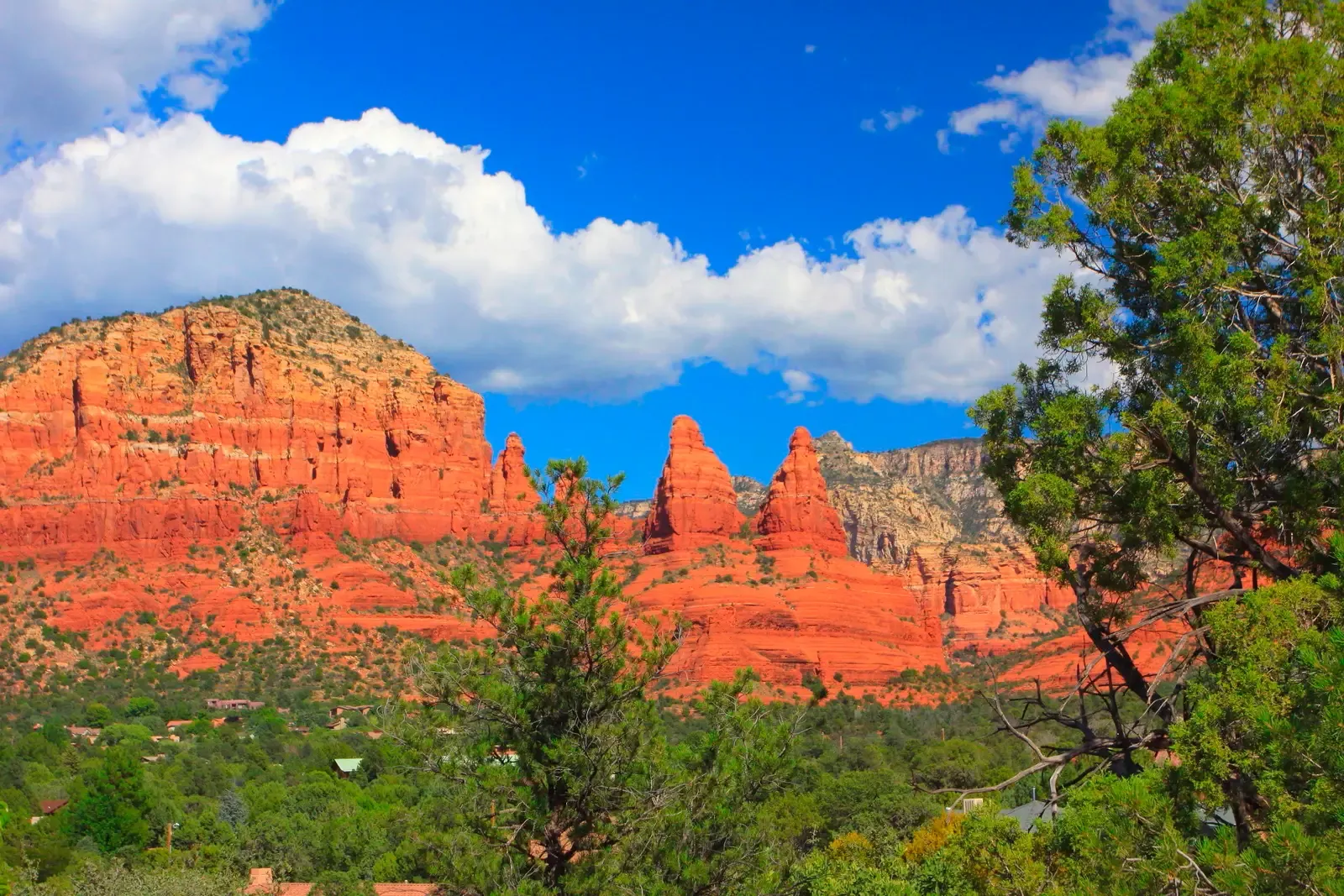 Sedona Red Rocks (Image Credits: Wikimedia)