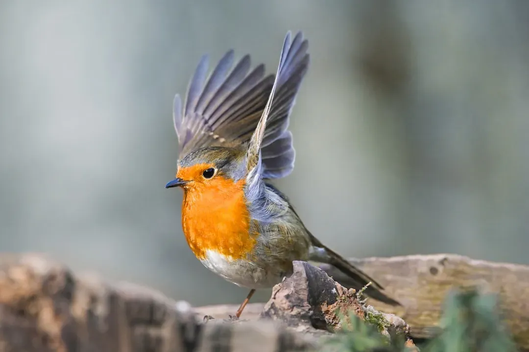 Low Flight Patterns (Image Credits: Unsplash)