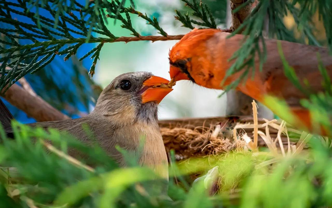 #2 - They're Playing It Quiet Because They're Raising a Family (Image Credits: Pixabay)
