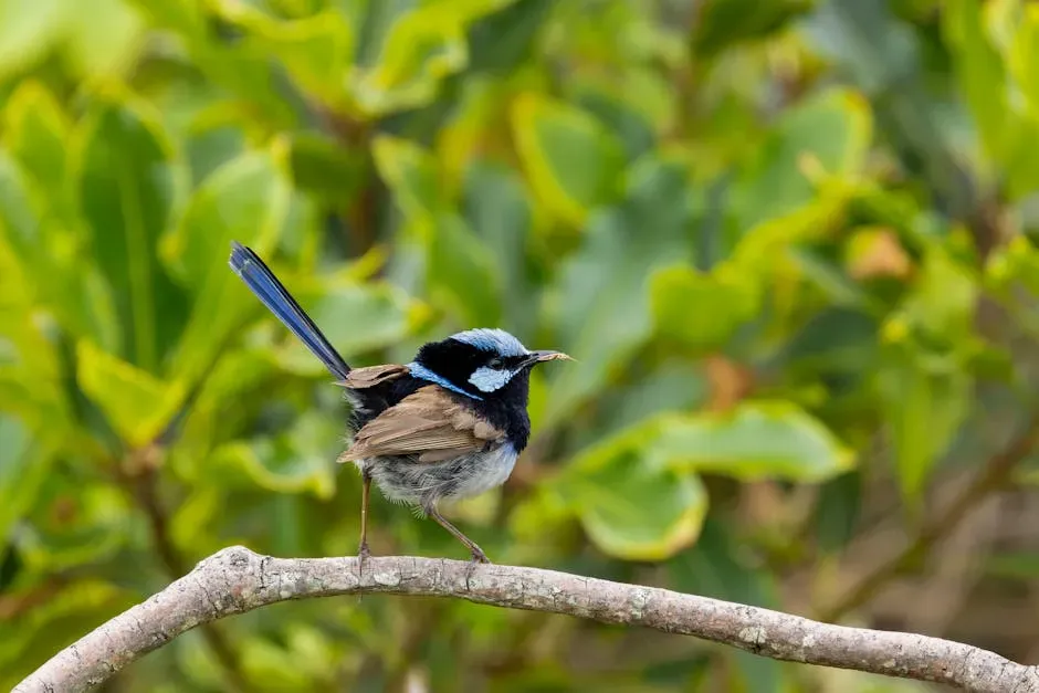 #3. A Male Wren Builds Up to Twelve Nests Just to Impress a Female (Image Credits: Pexels)