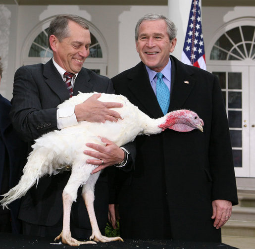 The Misunderstood Connection to Thanksgiving (Image Credits: Wikimedia)