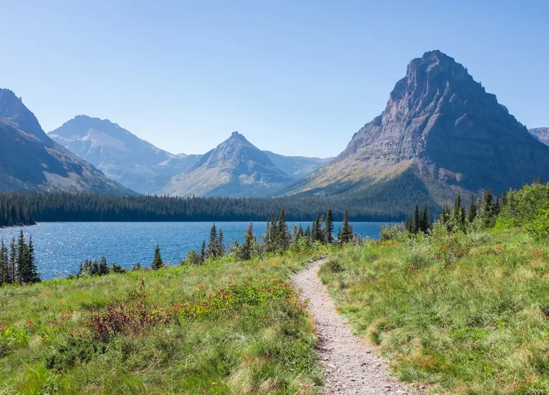 Montana: Natural Recovery Before the Rest (Image Credits: Unsplash)