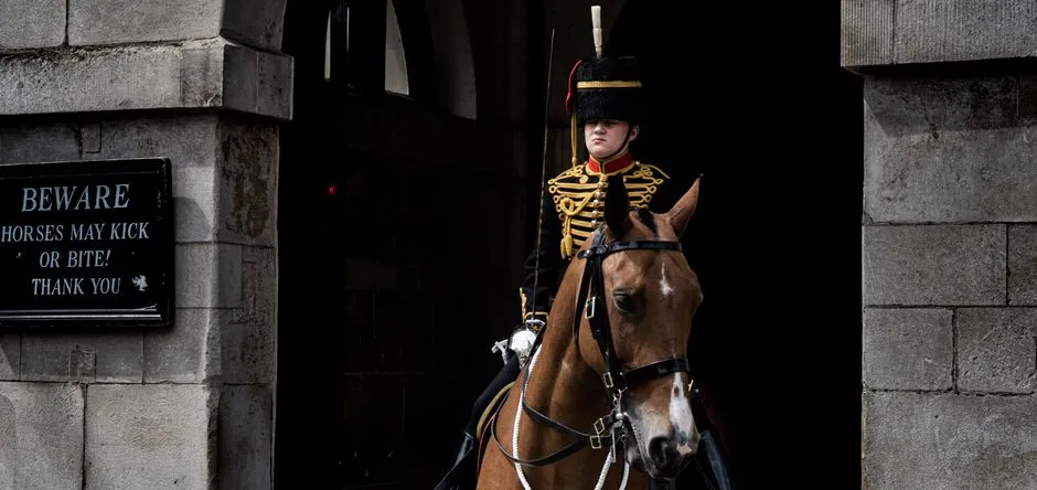 #10 - They Defend Your Space From Pushier Horses (Image Credits: Pexels)