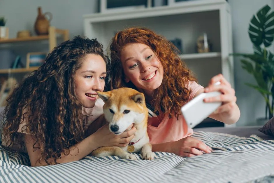 Conclusion: The Roommate You Never Knew You Needed (Image Credits: Pexels)