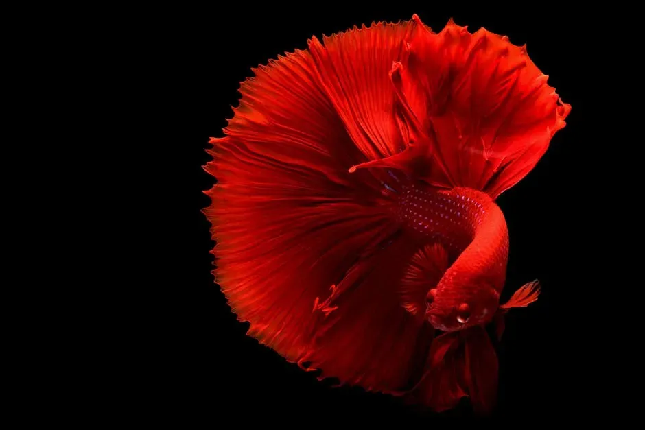 5. The Betta Fish - Low Maintenance, High Personality (Image Credits: Pexels)