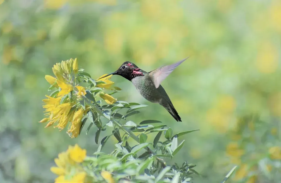 Taurus (April 20 &ndash; May 20): The Anna's Hummingbird (Image Credits: Pexels)