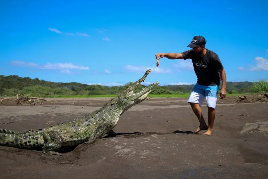 1. Never Feed an Alligator - Not Even a Little Scrap (Image Credits: Pexels)