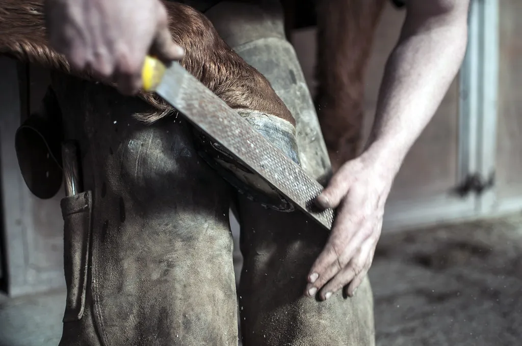 Conclusion: Listening To The Person Under The Horse (chimpwithcan, Flickr, CC BY 2.0)