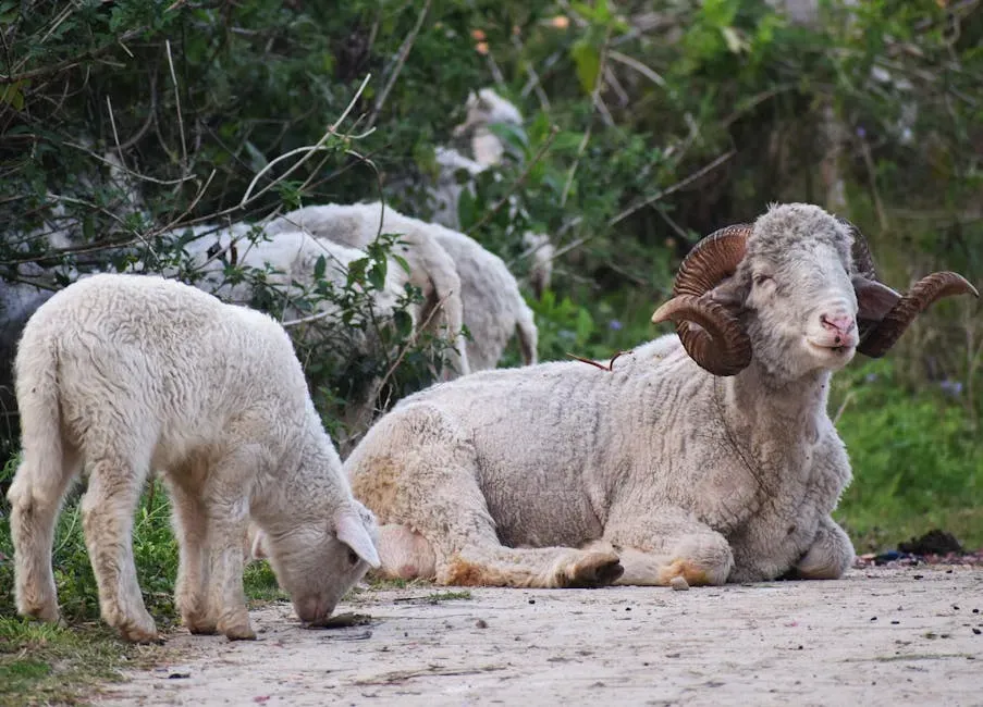 Leadership Instincts: Born to Lead the Herd (Image Credits: Pexels)