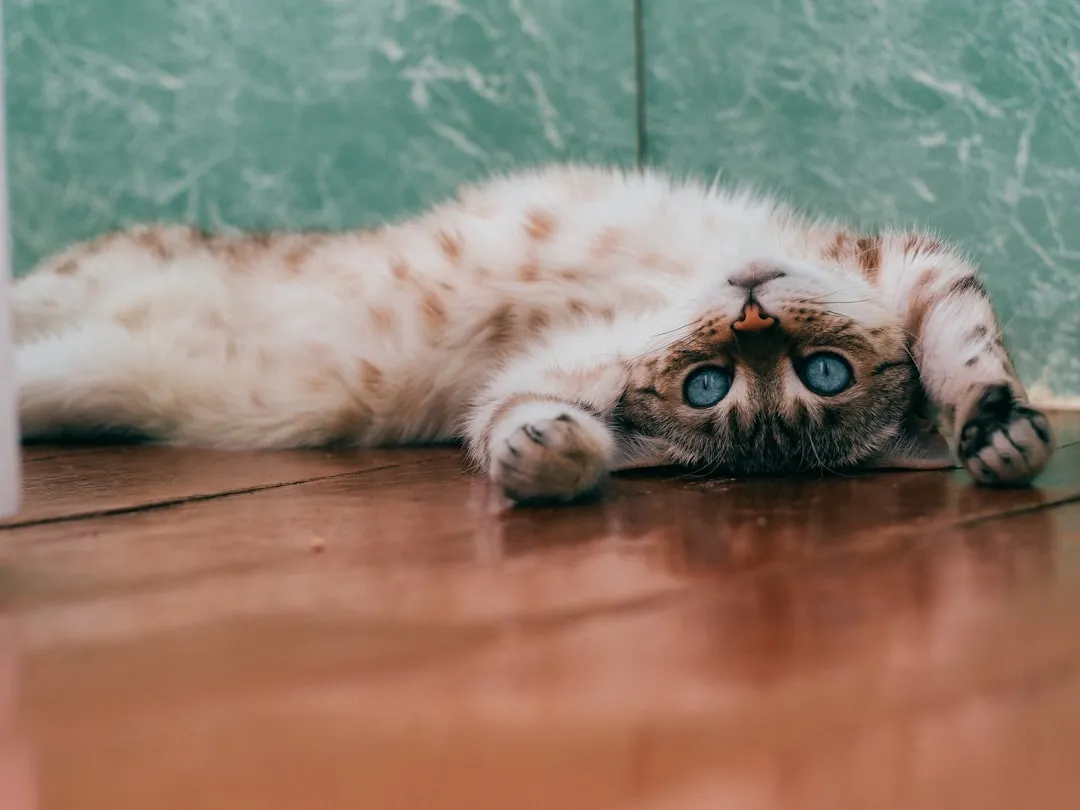 #5 - "I'm Not Being Difficult - My Brain Might Be Changing Too" (Image Credits: Unsplash)