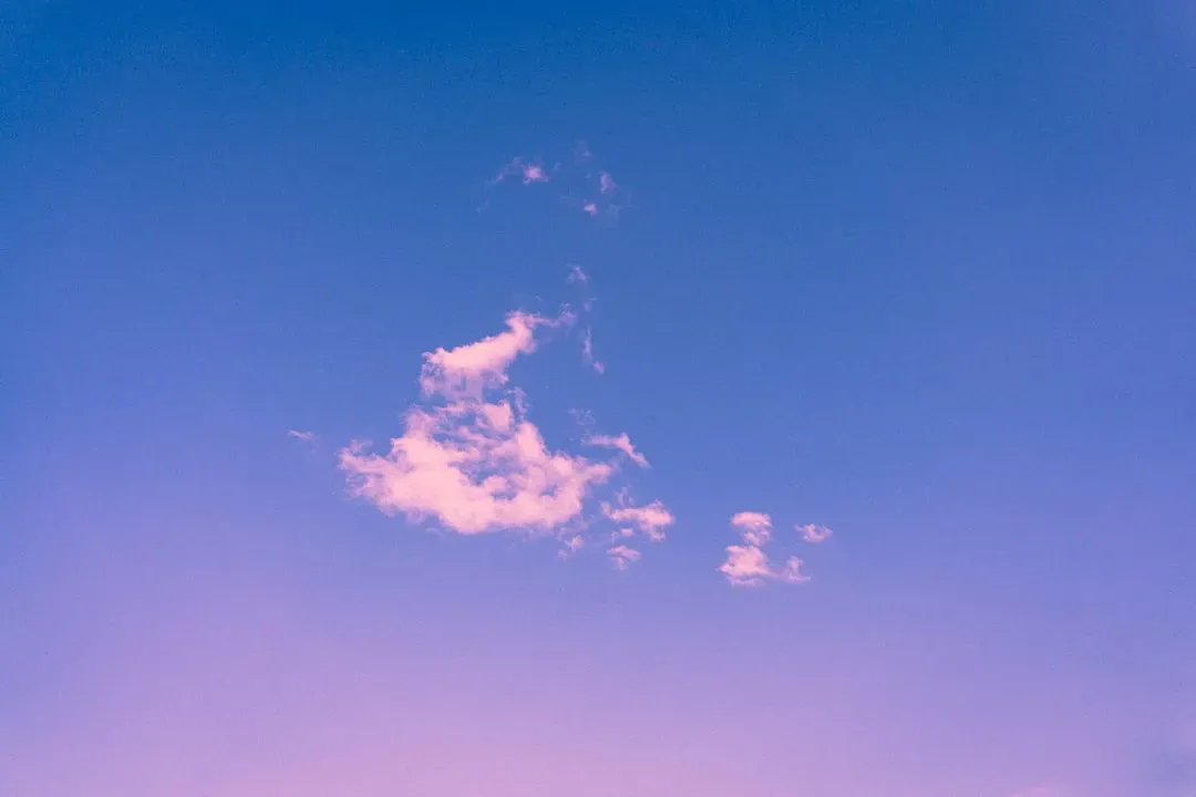 Why Not Violet Instead of Blue (Image Credits: Unsplash)