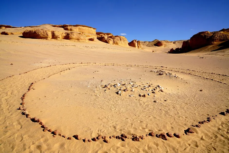 #10 - Fairy Circles and the Patterns No One Can Fully Explain (Image Credits: Pexels)