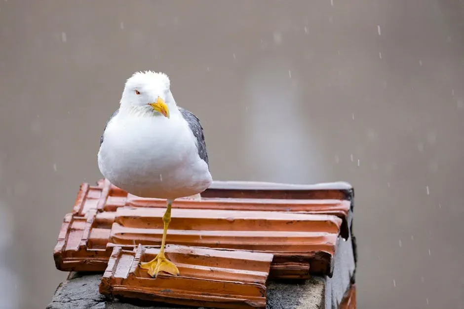 5. They Provide Free, Natural Fertilizer (Image Credits: Pexels)