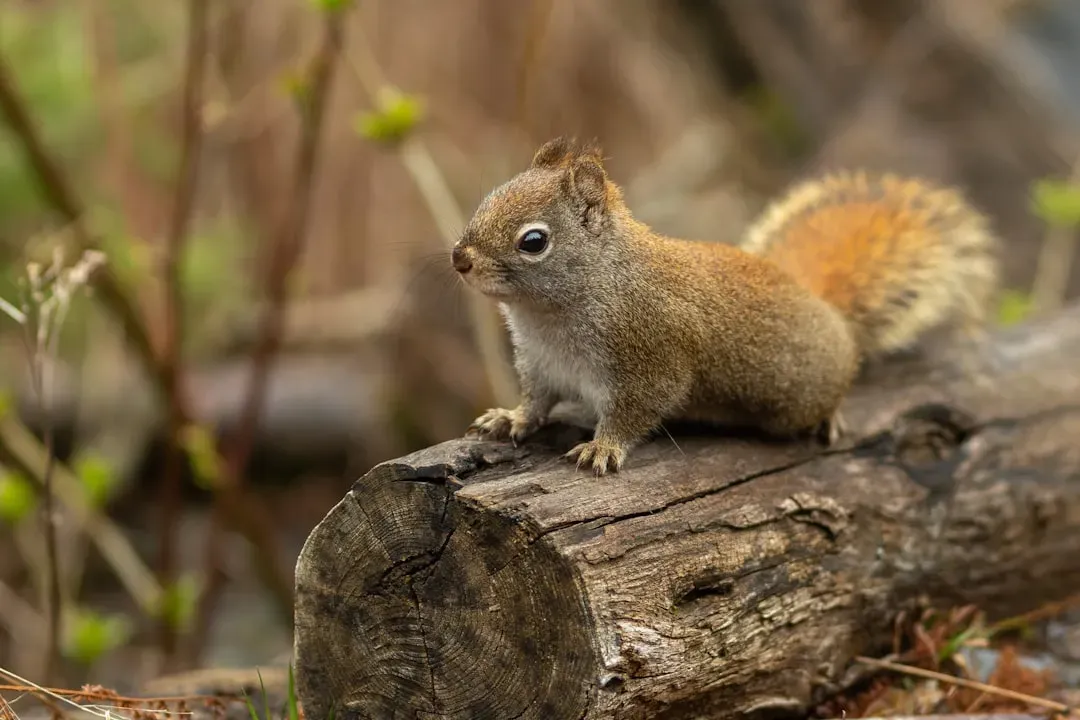 #12: Their Survival Odds as Babies Are Surprisingly Slim (Image Credits: Unsplash)