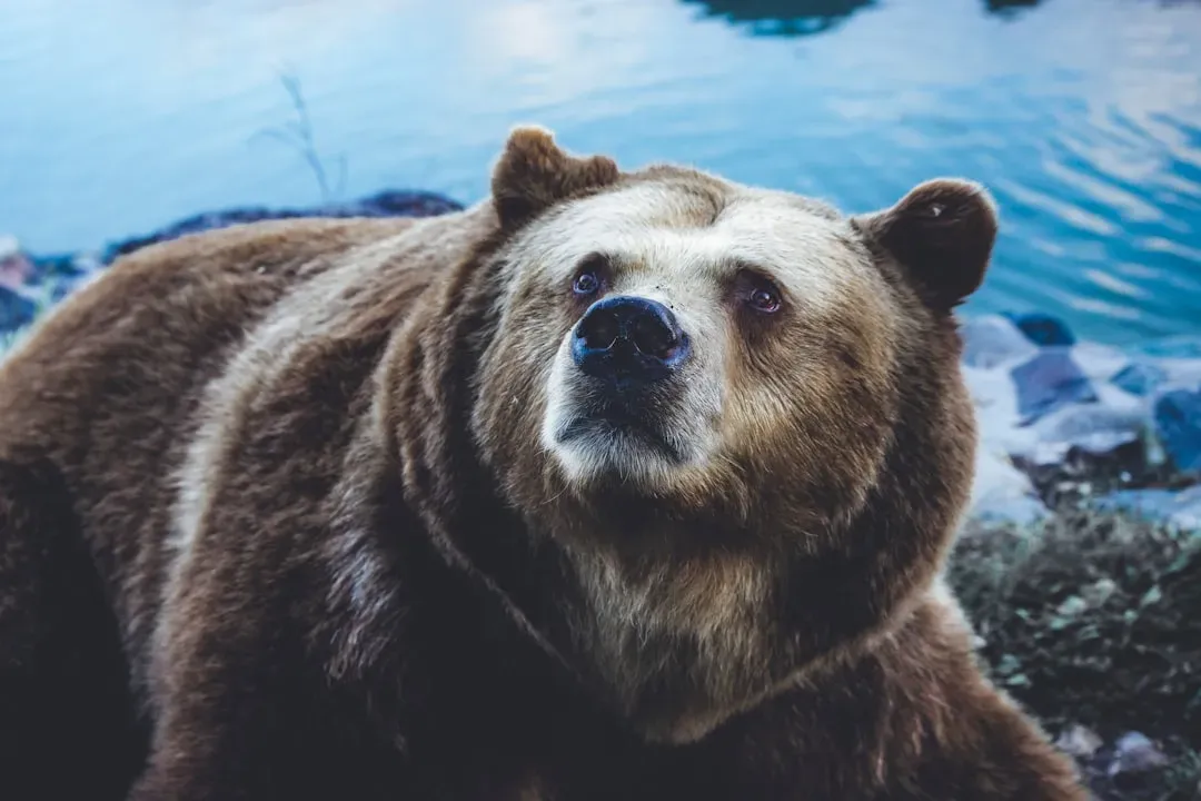 You Have a Natural Gift for Healing and Nurturing Others (Image Credits: Unsplash)