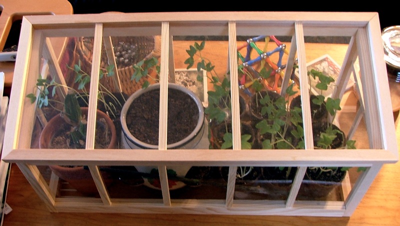 4. Cold Frames Using Recycled Materials (Image Credits: Wikimedia)