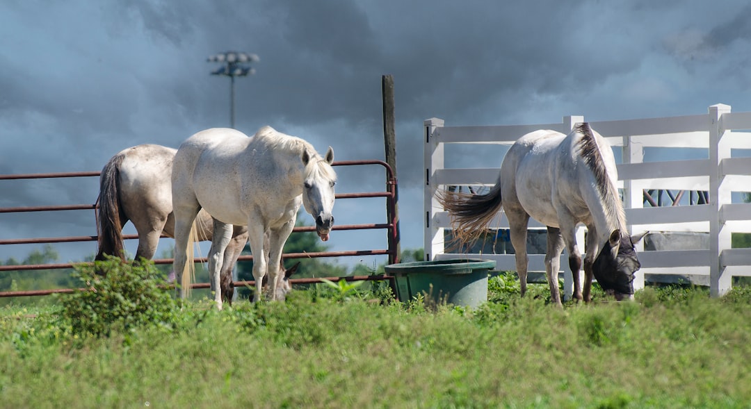 Farm Animals: Nature's Living Barometers (Image Credits: Unsplash)