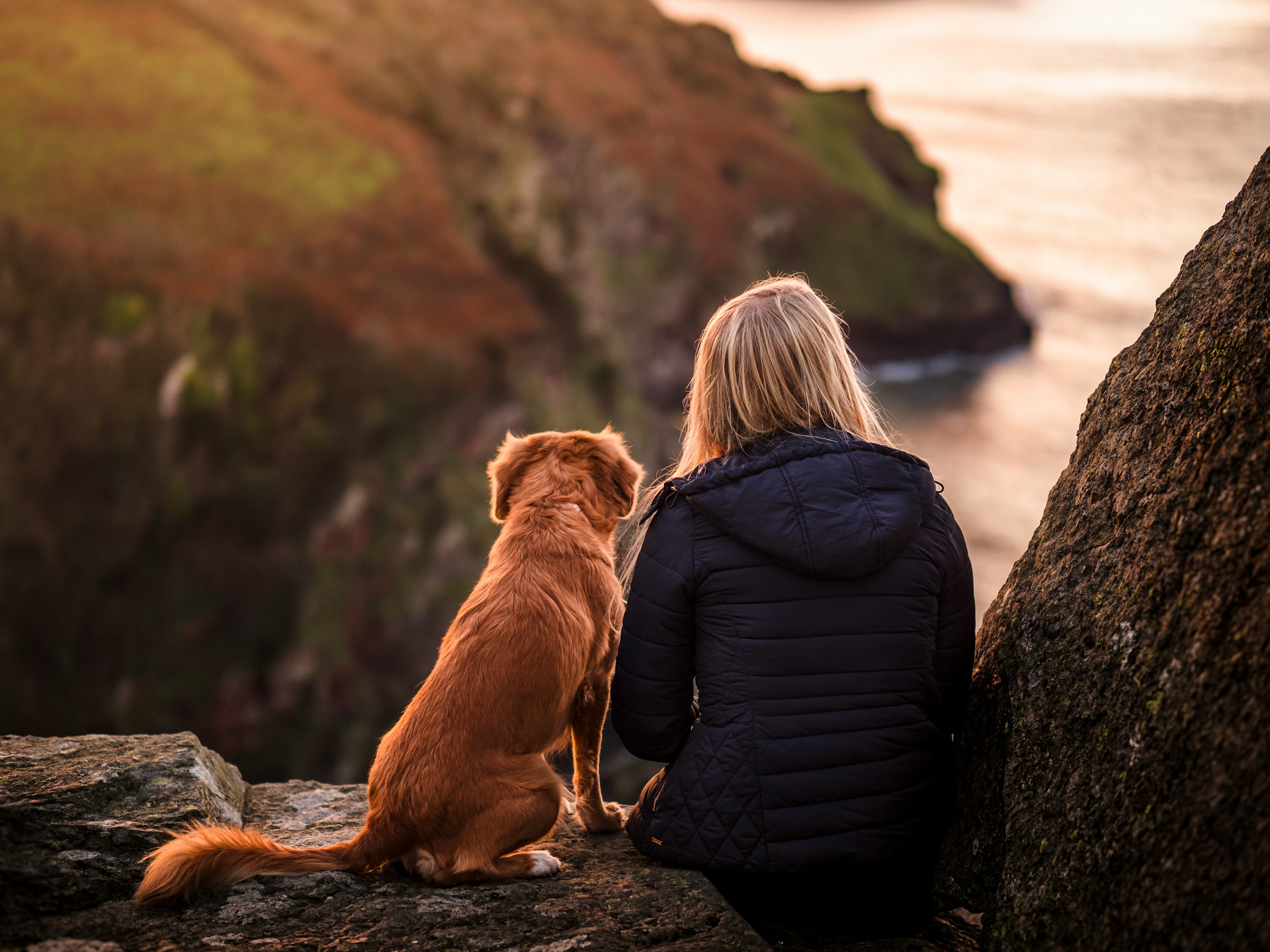 25 Small Signs Your Dog Loves You More Than It Loves Being a Dog