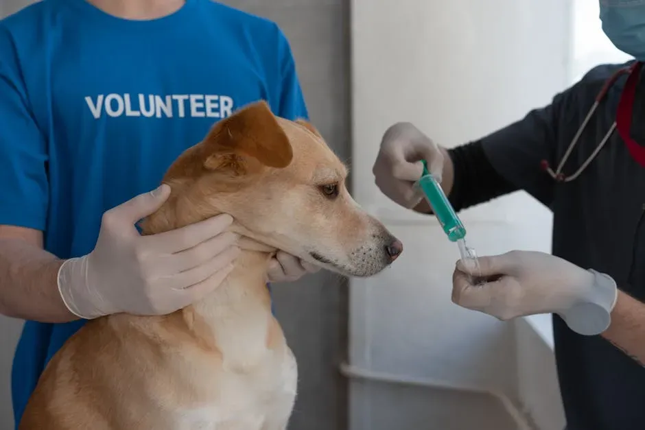 Myth 3: Indoor Pets Don't Need Vaccinations (Image Credits: Pexels)