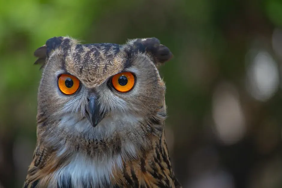 The Scale of Their Vision Compared to Other Birds (Image Credits: Pexels)