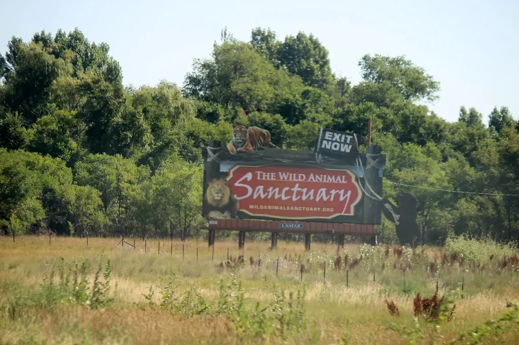The Wild Animal Sanctuary, Colorado (Image Credits: Flickr)