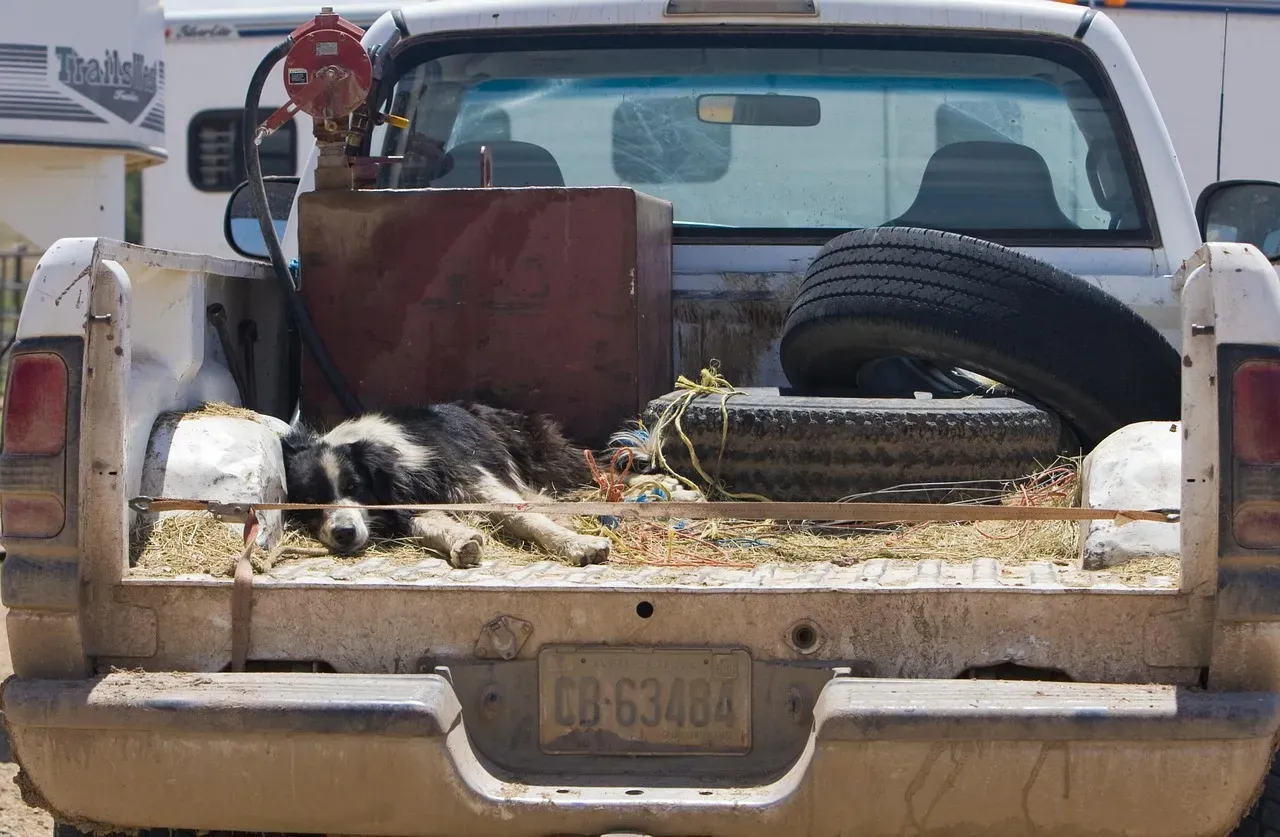 #15 - Riding in Open Truck Beds (Image Credits: Pixabay)