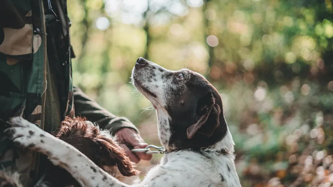 #1 - They Make Saying "No" Feel Physically Wrong (Image Credits: Unsplash)