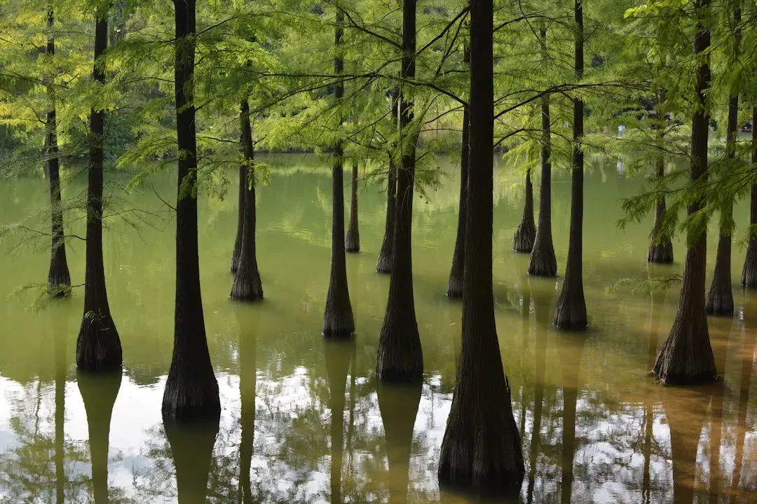 A World Swallowed by Rising Seas (Image Credits: Unsplash)